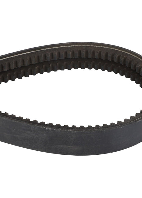 Close-up image of the AGCO | V BELT - D49030015, showing its black toothed inner surface designed for optimal grip and movement. No current product description information is available.