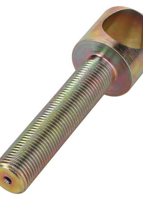 AGCO | EXTENSION - D45100044