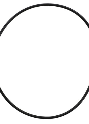 The AGCO O-RING - F743300021630 is a perfectly round, thin black rubber O-ring with no current product description information available.