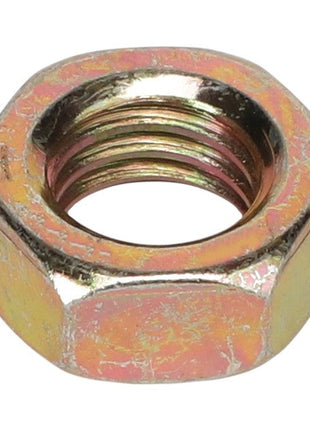 AGCO | HEX JAM NUT - AG561635