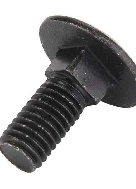 The AGCO Round Head Square Neck Carriage Bolt (Acw1061430) features a black finish and a threaded design with a square section beneath the head, shown against a white background. Currently, there is no detailed product description available for this item.