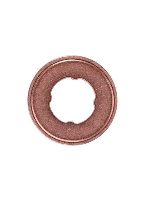 AGCO | Sealing Washer - F339202710080 - Massey Tractor Parts