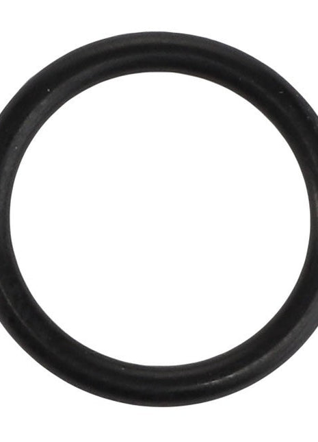 A black rubber O-ring with a circular shape, displayed against a white background. The product is the AGCO | O RING - AL5037059 from AGCO. No current product description information is available.