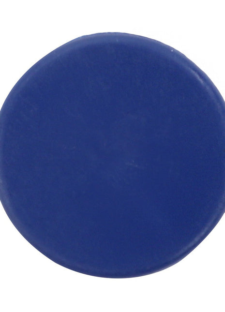 AGCO | Cap - Acp0671440 - Farming Parts