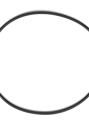 Product Description: The AGCO O RING - AG335055 is a black, circular O-ring set against a pristine white background.