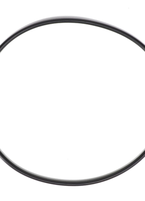 Product Description: The AGCO O RING - AG335055 is a black, circular O-ring set against a pristine white background.