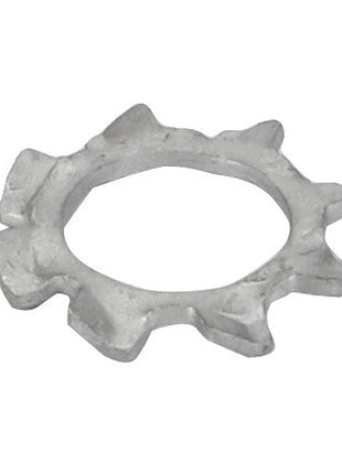 Discover the AGCO Toothlock Washer - F329200210010, a metal star lock washer with jagged outer edges and an inner circular opening.