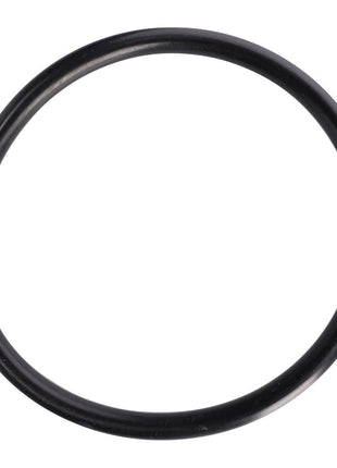 AGCO | O Ring - D46140026 - Massey Tractor Parts
