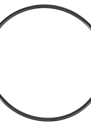 AGCO | O-Ring - 70923818 - Massey Tractor Parts