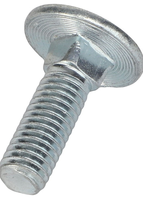 Introducing the AGCO SCREW - ACP0410710, a high-quality silver carriage bolt featuring a rounded head and threaded shaft that's perfect for your project. For more product details or questions, please contact our support team.