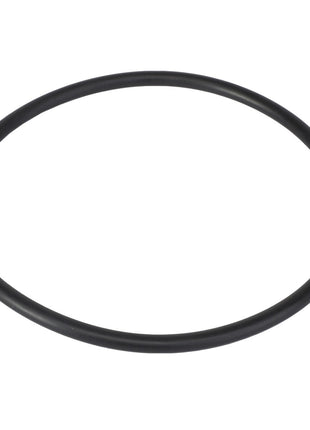 A black rubber O-ring against a white background, identified as the AGCO | GASKET - AG428430 by the brand AGCO, with no current product description information available.