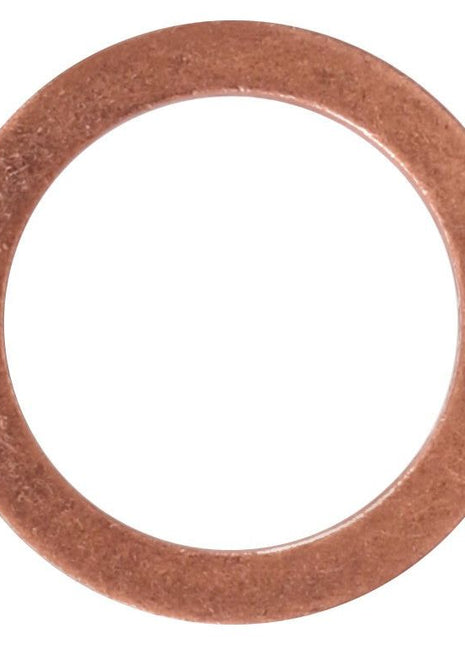 AGCO | Sealing Washer - X540004078000 - Massey Tractor Parts