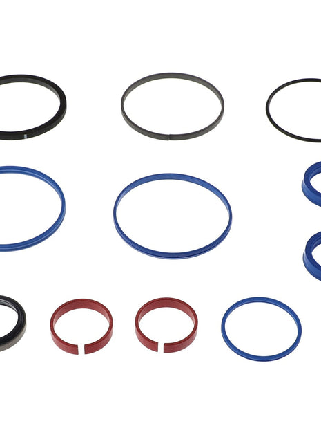 A variety of black, blue, and red rubber and plastic O-rings and seals from the AGCO SEALS KIT - AL5034159, neatly arranged on a white background. No current product description provided.