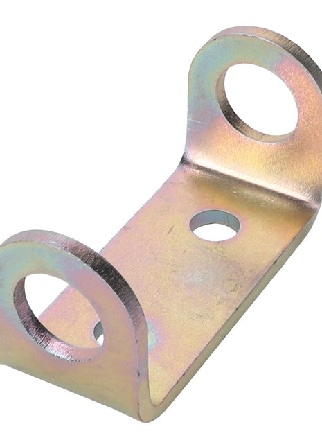 AGCO | Cover Hinge - Acw123186B - Farming Parts