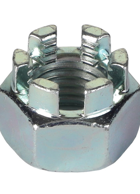 AGCO | HEX NUT - ACP0413230