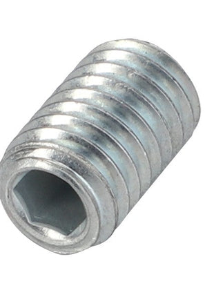 The AGCO Hex Socket Head Setscrew - 3009409X1 is a cylindrical metal set screw featuring a hexagonal socket head. Currently, there is no additional product description available.