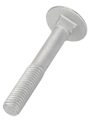 The AGCO | Round Head Square Neck Carriage Bolt - Acp0703620, featuring a round, flat head and a threaded lower end, rests on a pristine white background.