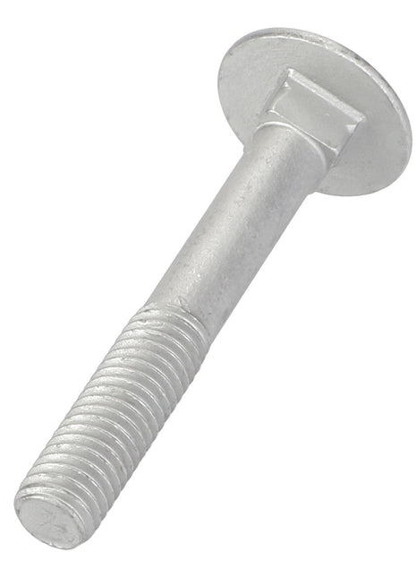 The AGCO | Round Head Square Neck Carriage Bolt - Acp0703620, featuring a round, flat head and a threaded lower end, rests on a pristine white background.