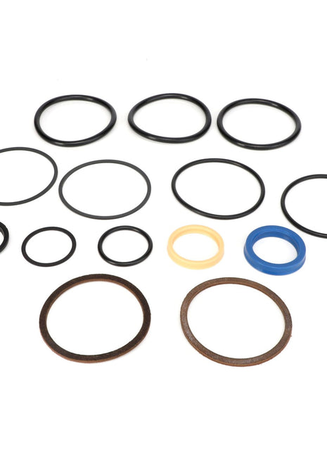 The AGCO KIT - EP6301, featuring various sizes of O-rings and washers, is meticulously arranged on a white background to highlight the attention to detail. Currently, no additional product description information is available for these items.