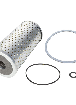 A cylindrical metal filter with holes, accompanied by three circular gaskets of different sizes, placed on a white background. Product Name: AGCO | FILTER ELEMENT - AG606881, Brand Name: AGCO. No current product description information is available.