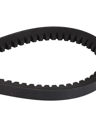 Close-up of the AGCO | BELT - D41921700, a black toothed belt made of rubber, bent in a loop with one end partially visible. The belt has evenly spaced teeth along its inner edge.