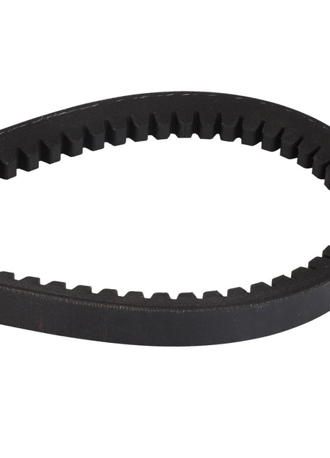 Close-up of the AGCO | BELT - D41921700, a black toothed belt made of rubber, bent in a loop with one end partially visible. The belt has evenly spaced teeth along its inner edge.