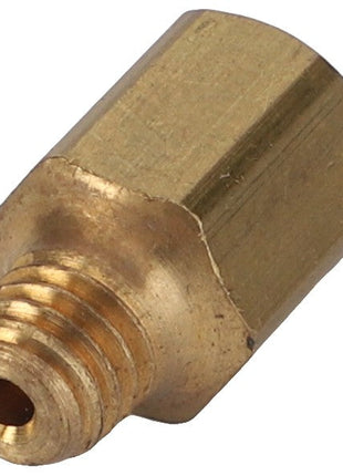 The AGCO UNION - D43009500 is a durable brass fitting, hexagonal in shape, featuring precision threading and a male screw end for secure connections.