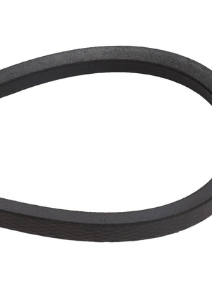 A close-up view of the AGCO BELT - D41942200, a black rubber V-belt used in machinery for efficient power transmission between shafts.