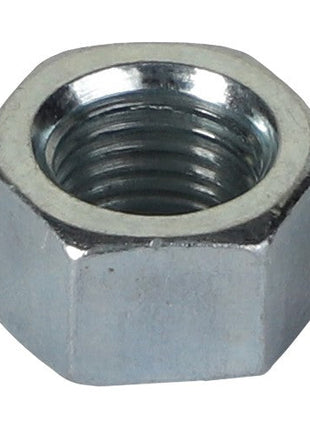 AGCO | Nut - Acp0291600 - Farming Parts