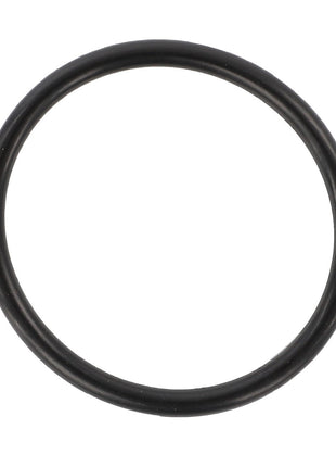 The AGCO O-Ring - F334310020100 is a black rubber circular ring displayed on a white background. Currently, there is no product description available.