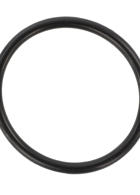 The AGCO O-Ring - F334310020100 is a black rubber circular ring displayed on a white background. Currently, there is no product description available.
