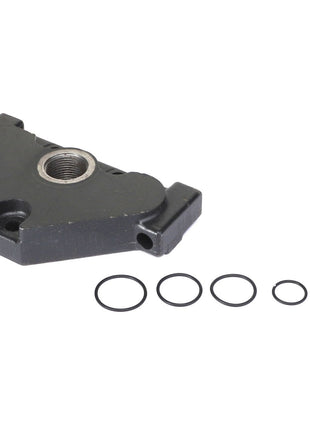 The AGCO PLATE - AL518111 is a black, triangular-shaped mechanical part with a threaded hole, and it comes with five variously sized rubber O-rings, one of them is green.