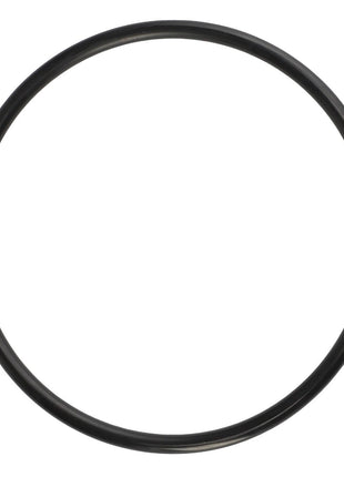 The AGCO O Ring - 3004708X1, presented against a white background, offers a simple yet precise view of the black rubber product. There is currently no description available for this item.