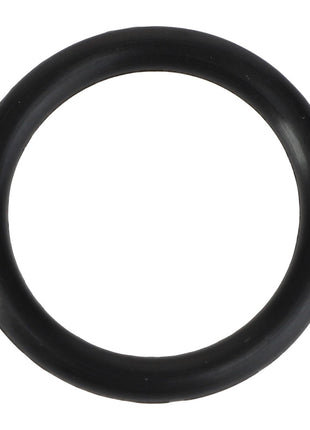 Close-up of the AGCO | O RING - AL5050222, a black rubber O-ring, against a white background. No current product description information available.