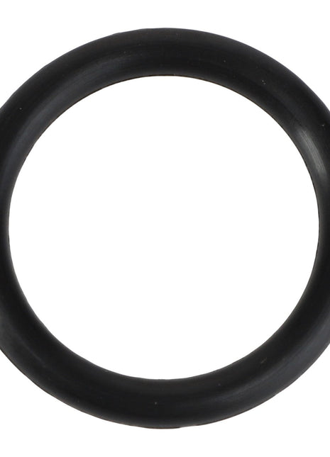 Close-up of the AGCO | O RING - AL5050222, a black rubber O-ring, against a white background. No current product description information available.