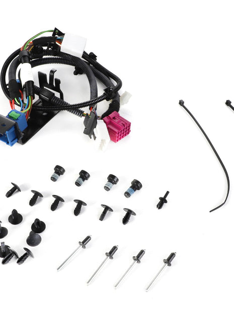 A set of AGCO black wire harness, connectors, bolts, screws, and two zip ties (Product Name: AGCO | WIRE HARNESS - F930500031030) placed on a white background. Current information not available.