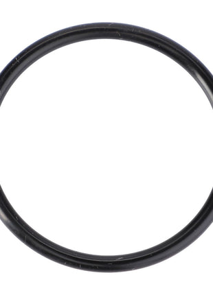 AGCO | O-Ring, Ø 32 X 2.5 Mm - X548890866000 - Massey Tractor Parts