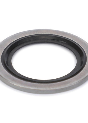 AGCO | SEALING WASHER - F926202310430 is a round metal washer featuring a black inner ring, designed for use in mechanical applications for sealing or spacing purposes.