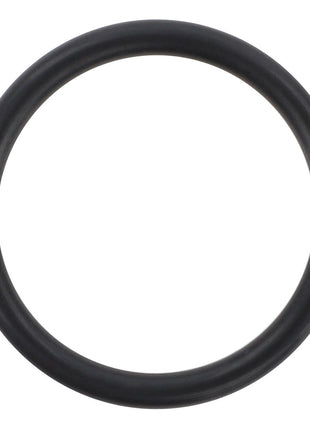 AGCO | O Ring - Acp0325480 - Farming Parts