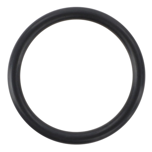 AGCO | O Ring - Acp0325480 - Farming Parts