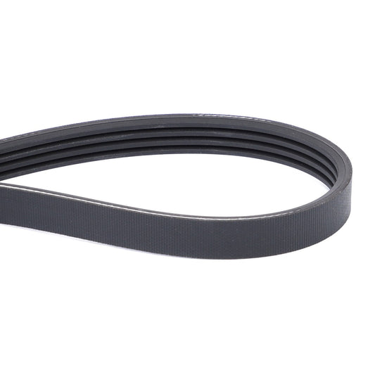 AGCO | Serpentine Belt, Pk4 Profile - F926202040020 - Farming Parts