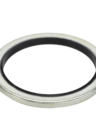 AGCO SEAL - D45420000, featuring a black inner seal, isolated on a white background. No additional information available.