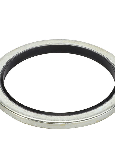 AGCO SEAL - D45420000, featuring a black inner seal, isolated on a white background. No additional information available.