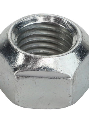 AGCO | Top Lock Nut - 3008244X1 - Farming Parts