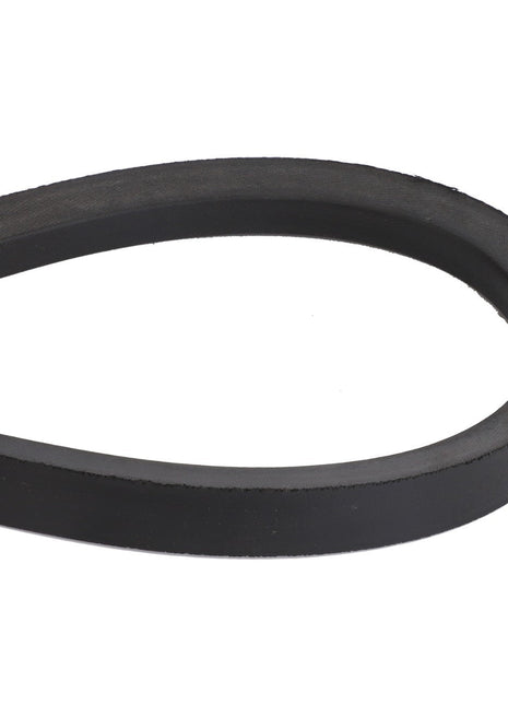 Close-up of the AGCO Belt - 6211250M1, a black rubber belt looped into an oval shape on a white background.