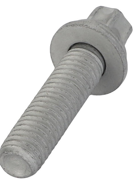 AGCO | Torx Screw - F119200210260 - Farming Parts