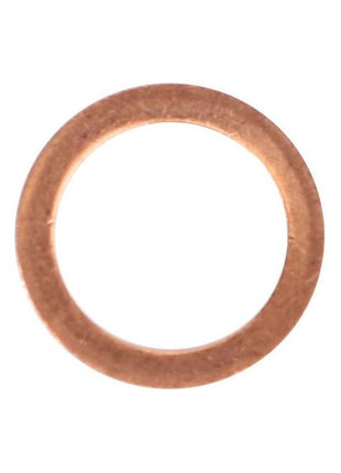 AGCO's Massey Ferguson Sealing Washer (V615870812) features a round copper design with a smooth surface, suitable for Massey Ferguson models.