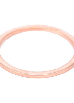 Massey Ferguson - Sealing washer - X540010278000 - Massey Tractor Parts