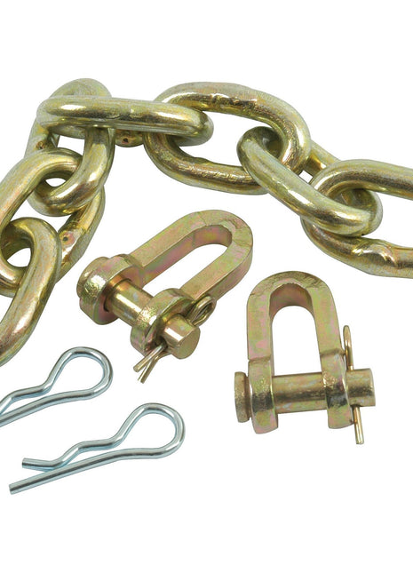 Check Chain Assembly
 - S.64 - Massey Tractor Parts