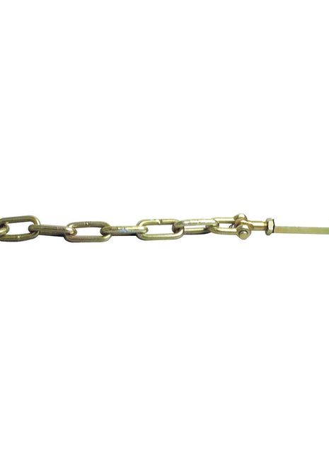 Check Chain Stabiliser
 - S.176 - Massey Tractor Parts